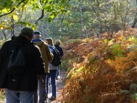 2016-10-09 Les gorges d Apremont 0051